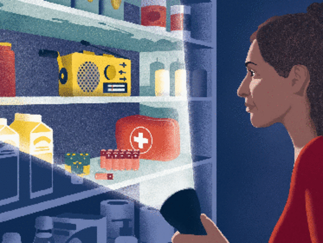 Illustration einer Frau, die in einem dunklen Raum vor einem Regal steht und mit einer Taschenlampe hineinleuchtet. Im dem Regal stehen mehrere Gegenstände, unter anderem ein Kurbelradio, ein Erste-Hilfe-Kit, Nudeln und Konserven, Wasserflaschen und Hygieneartikel.